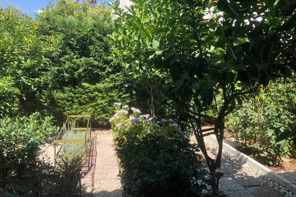 Ανακαινισμενη Μονοκατοικια 125 Τμ Στο Κεντρο Με Κηπο Villa Mesolóngion Exterior foto